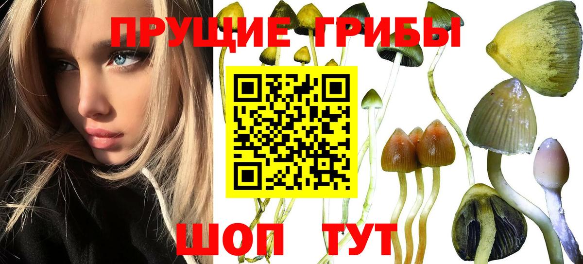Галлюциногенные грибы мицелий Ставрополь