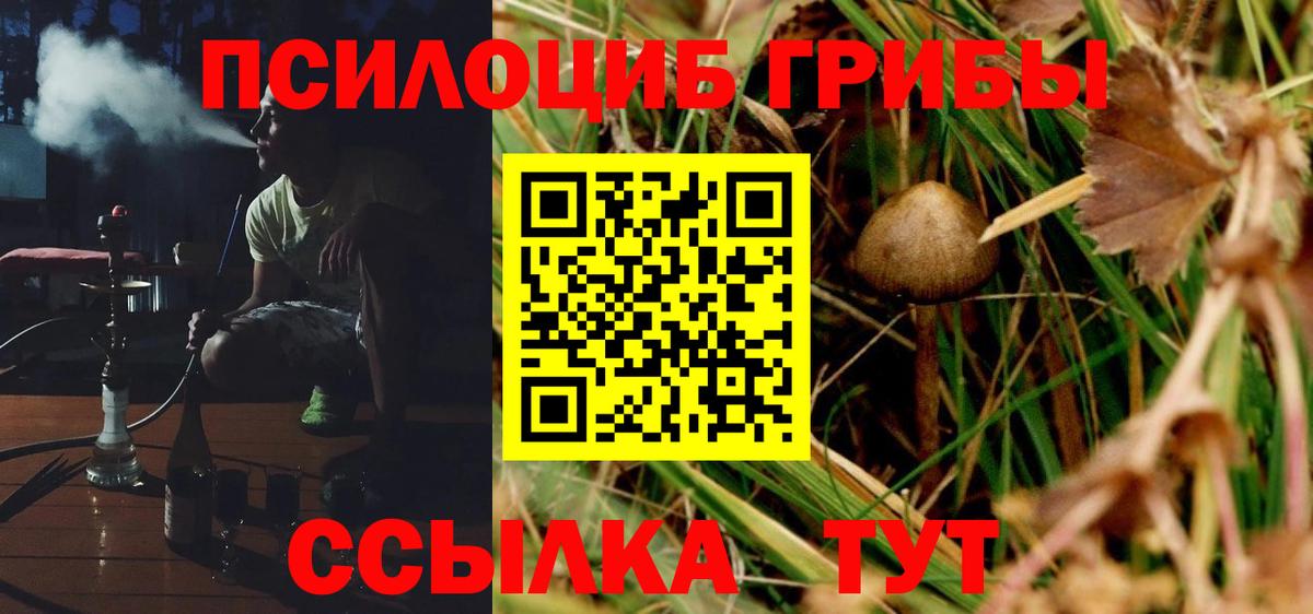 Псилоцибиновые грибы GOLDEN TEACHER  Псилоцибиновые грибы MAGIC MUSHROOMS  где продают   Ставрополь  Вход с VPN 